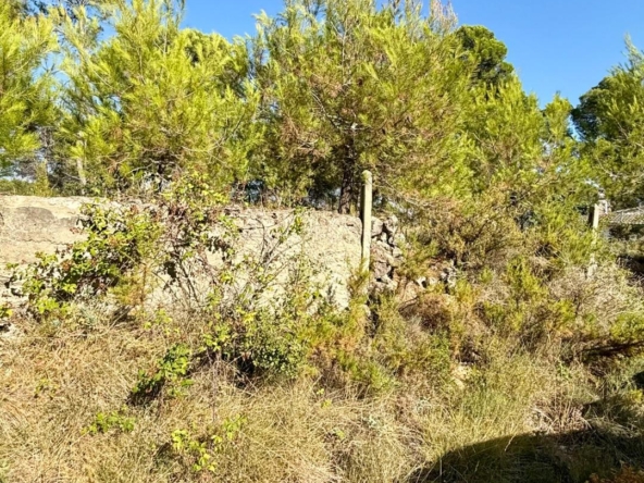 TERRENO EN PONTONS